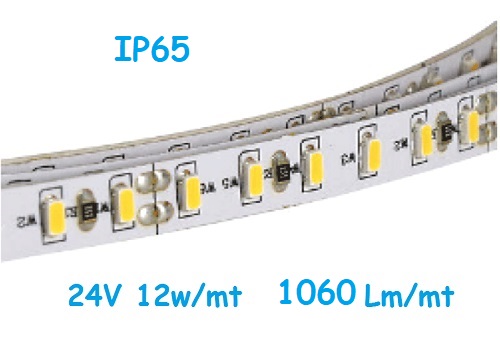 Strip LED 24V 2835 120 Led/mt 12w/mt Luce Natura IP65